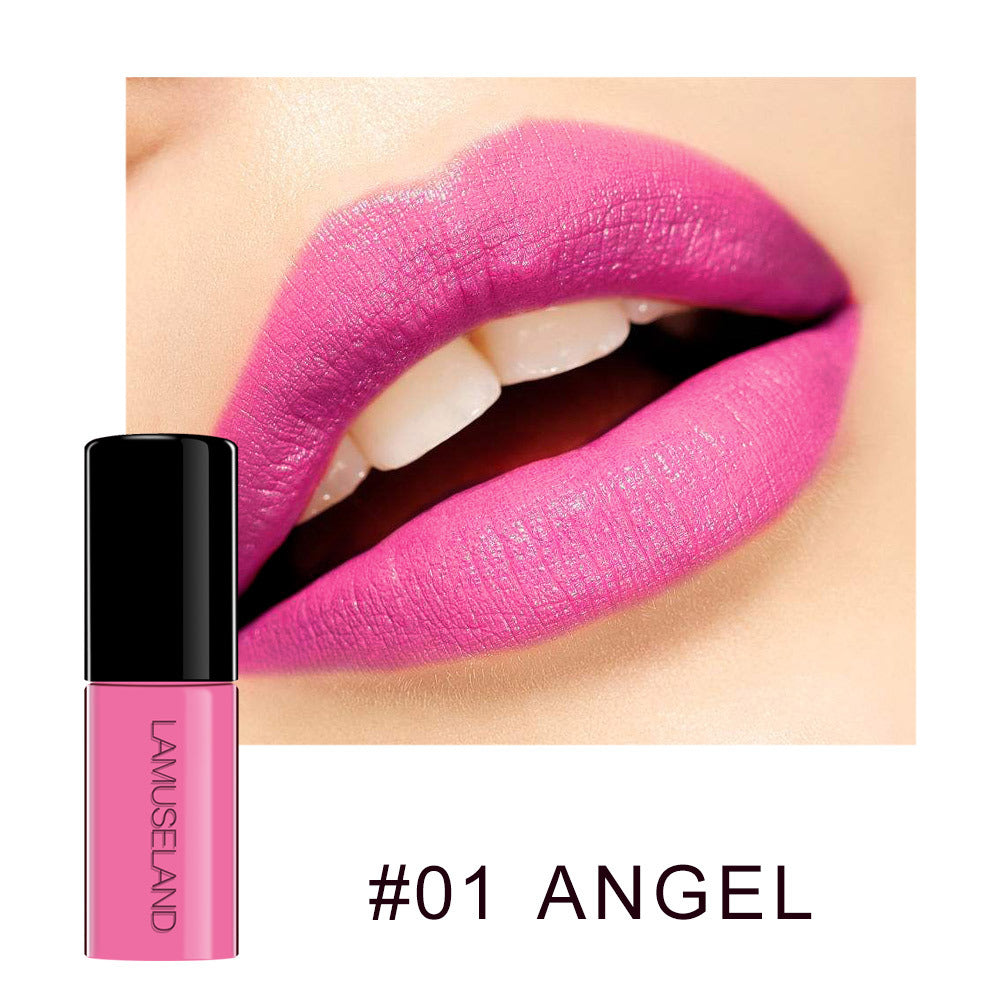 12 Color Waterproof Non-Stick Matte Lip Glaze Set