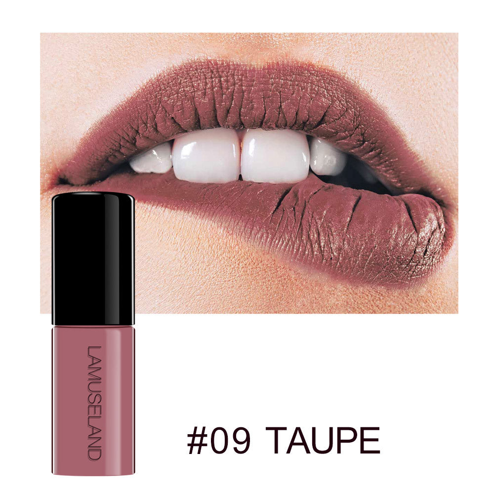 12 Color Waterproof Non-Stick Matte Lip Glaze Set