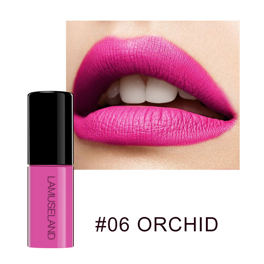 12 Color Waterproof Non-Stick Matte Lip Glaze Set