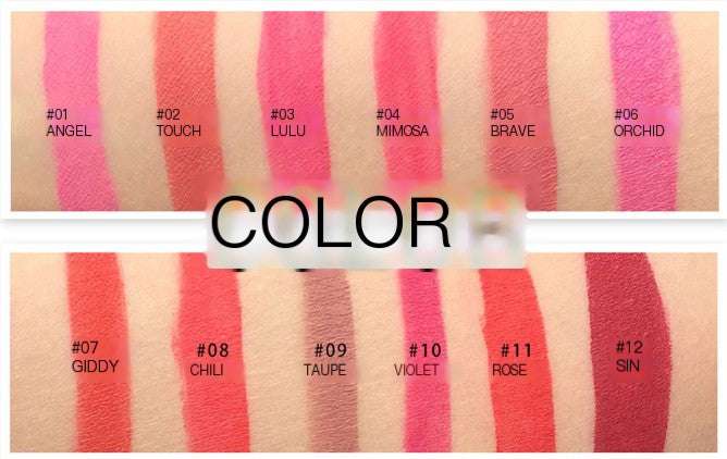 12 Color Waterproof Non-Stick Matte Lip Glaze Set