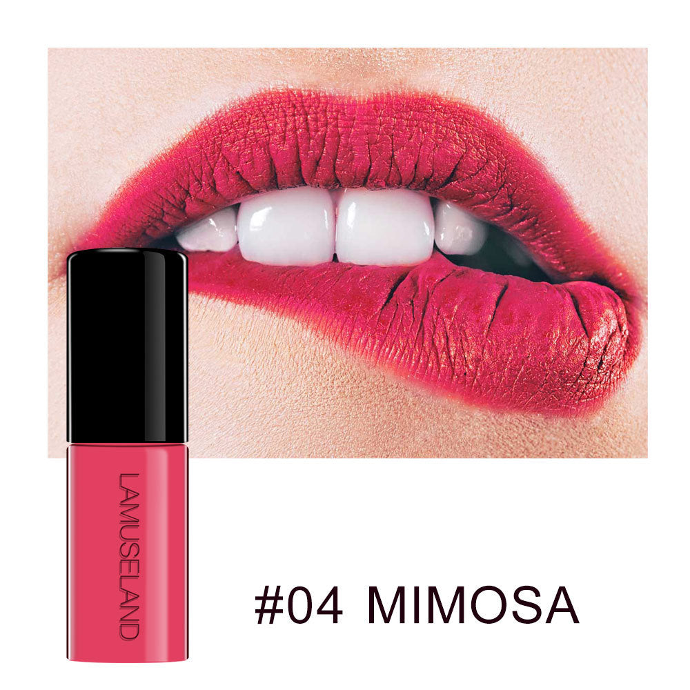 12 Color Waterproof Non-Stick Matte Lip Glaze Set