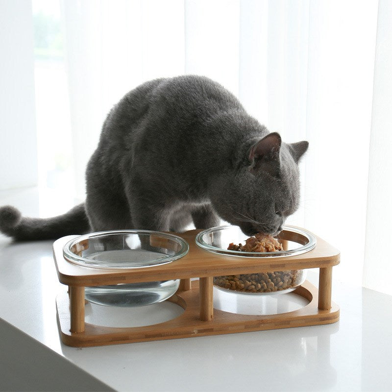Glass Cat Bowl and Dog Bowl with Neck Support (Double)